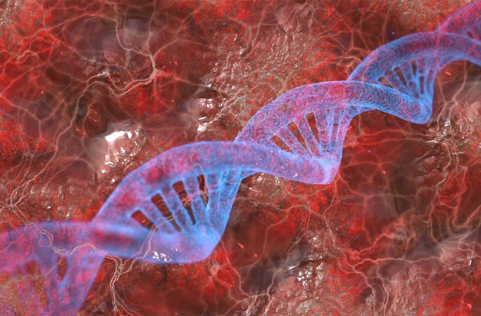 DNA Gender Change – Is It Possible?