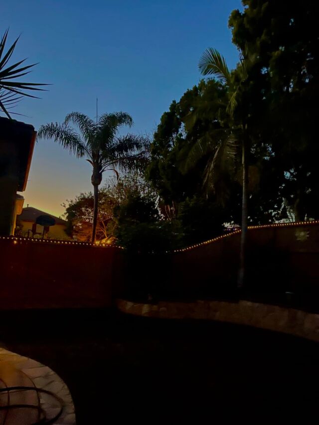 And, back to the tranquility of our beautiful yard at twilight …